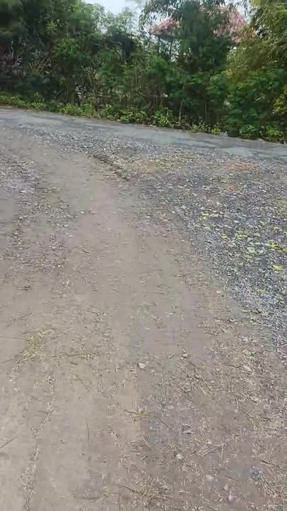 Đất nền 1215m² tại Khu Phố Hòa Thuận 1, Cần Giuộc - Đầu tư sinh lời tiềm năng!