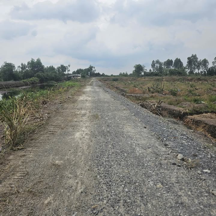 Đất thổ cư xã Thạnh Hòa, Bến Lức 200m² giá 2.4 tỷ - Đầu tư sinh lời lý tưởng!