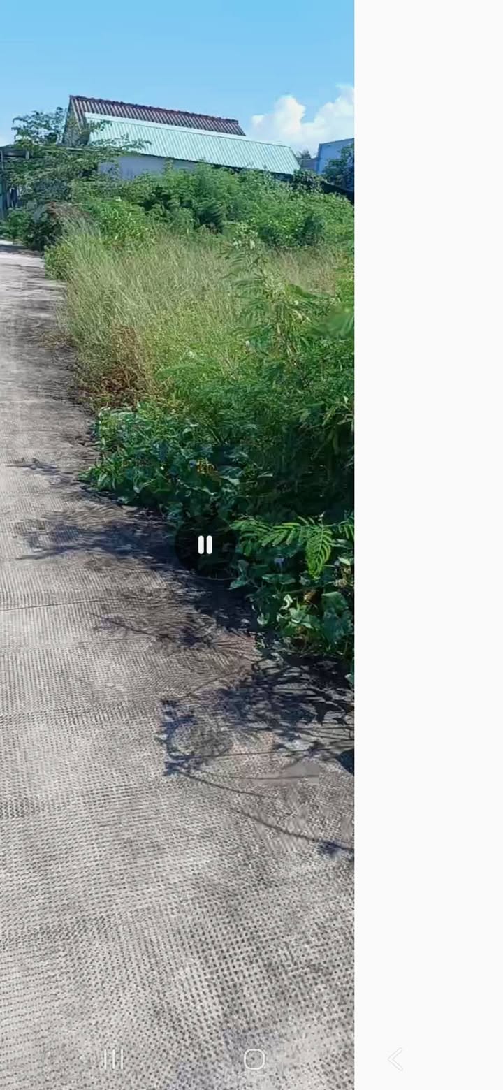 Đất thổ cư 125m² tại Ấp 4, xã Phước Lợi - Giá chỉ 1 tỷ VND, cơ hội đầu tư lý tưởng!