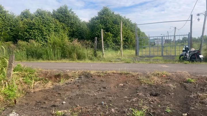 Đất nền Tân Tiến Bù Đốp 2000m² giá 430 triệu - Cơ hội đầu tư hấp dẫn!