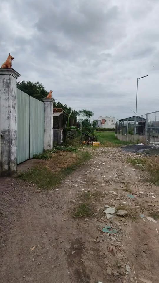 Đất vườn 1000m² tại Xuân Thới Sơn, Hóc Môn - Sổ hồng chính chủ, giá chỉ 5 tỷ!