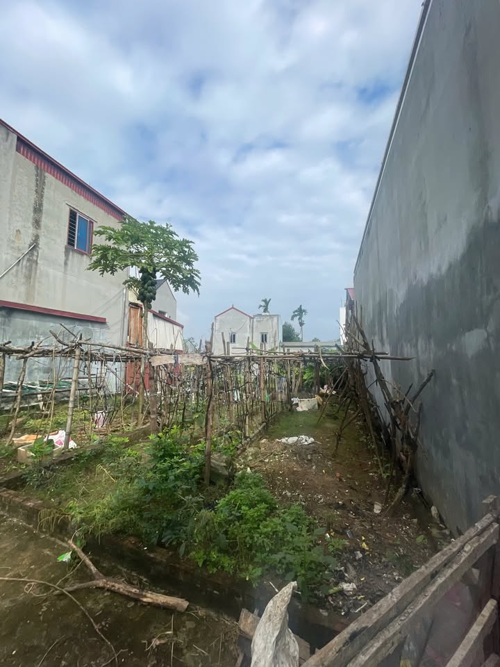 Đất nền Phụng Thượng - Phúc Thọ 57m² giá 1.719 tỷ - Đầu tư sinh lời ngay!