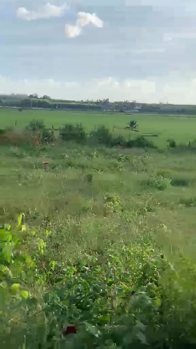 Đất nền 1 sào tại Đất Đỏ, Bà Rịa - Vũng Tàu, giá 1.4 tỷ - Đầu tư sinh lời ngay!