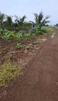 Đất nền Bàu Hàm 8 sào giá 3.3 tỷ - Mặt tiền đường hiện hữu!