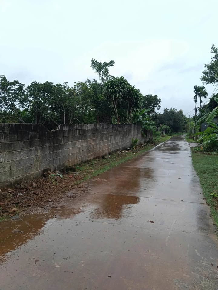 Đất nền Hẻm 174 Y Wang, Buôn Ma Thuột 875m² giá 5.2 tỷ - Cơ hội đầu tư tuyệt vời!