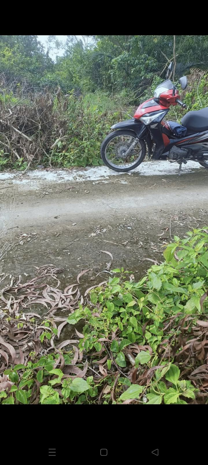 Bán đất thổ cư 539m² tại Phước Long, Bạc Liêu - Vị trí trung tâm hành chính!