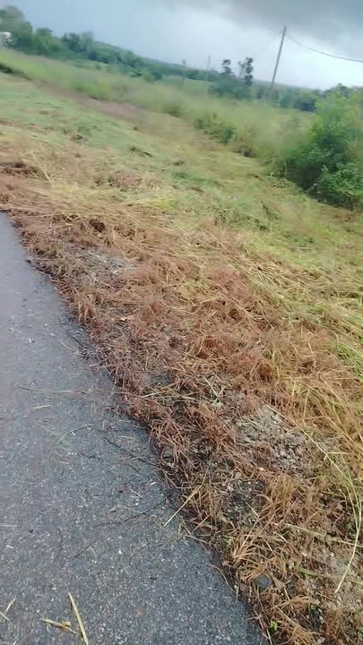 Đất thổ cư Suối Rao, Châu Đức 260m² giá chỉ 700 triệu - Cơ hội đầu tư tốt!