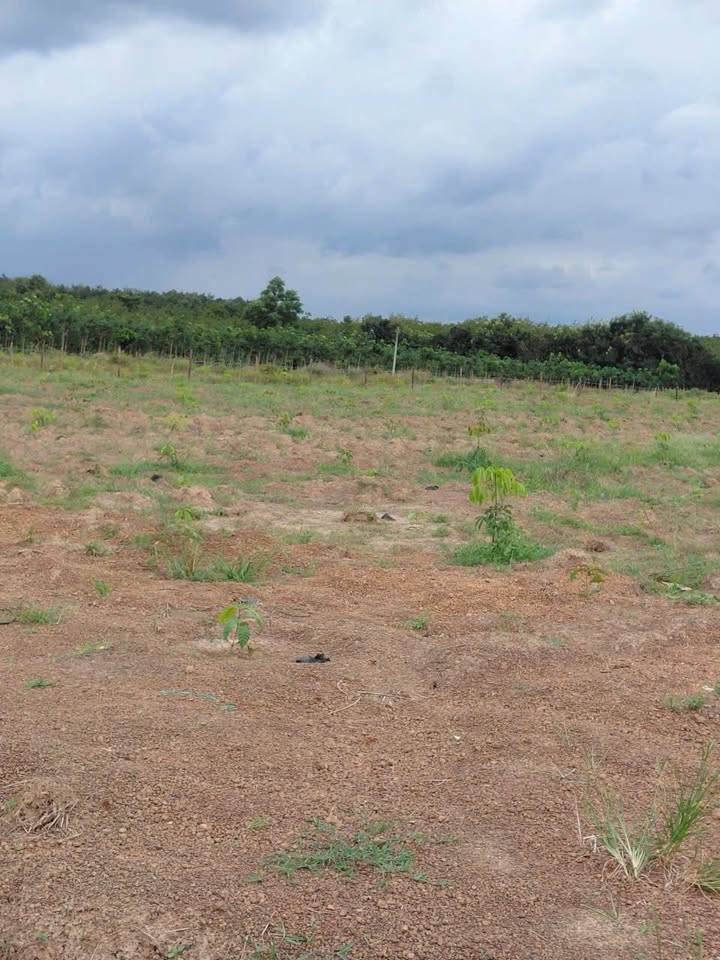 Đất nền Lộc Thành 34,000m² giá 3.5 tỷ - Cơ hội đầu tư không thể bỏ lỡ!