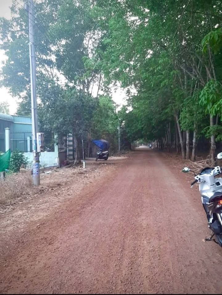 Đất nền Phước Hòa, Bình Dương 262.5m² giá 1.4 tỷ - Vị trí đắc địa gần ủy ban