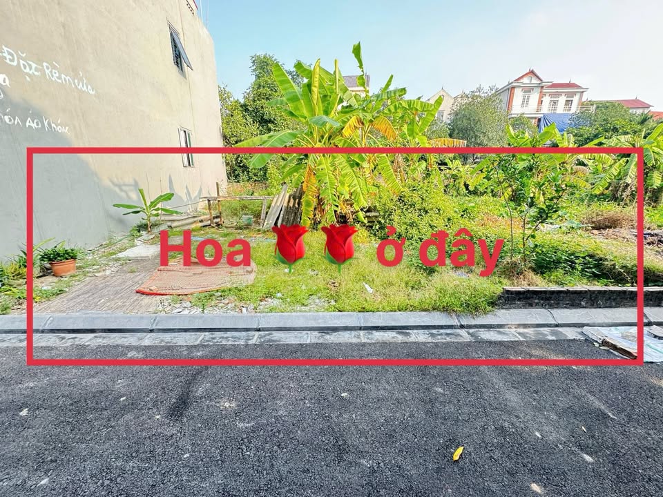 Đất nền Cổ Loa, Đông Anh 90m² giá chỉ 6x triệu - Cơ hội đầu tư hấp dẫn!