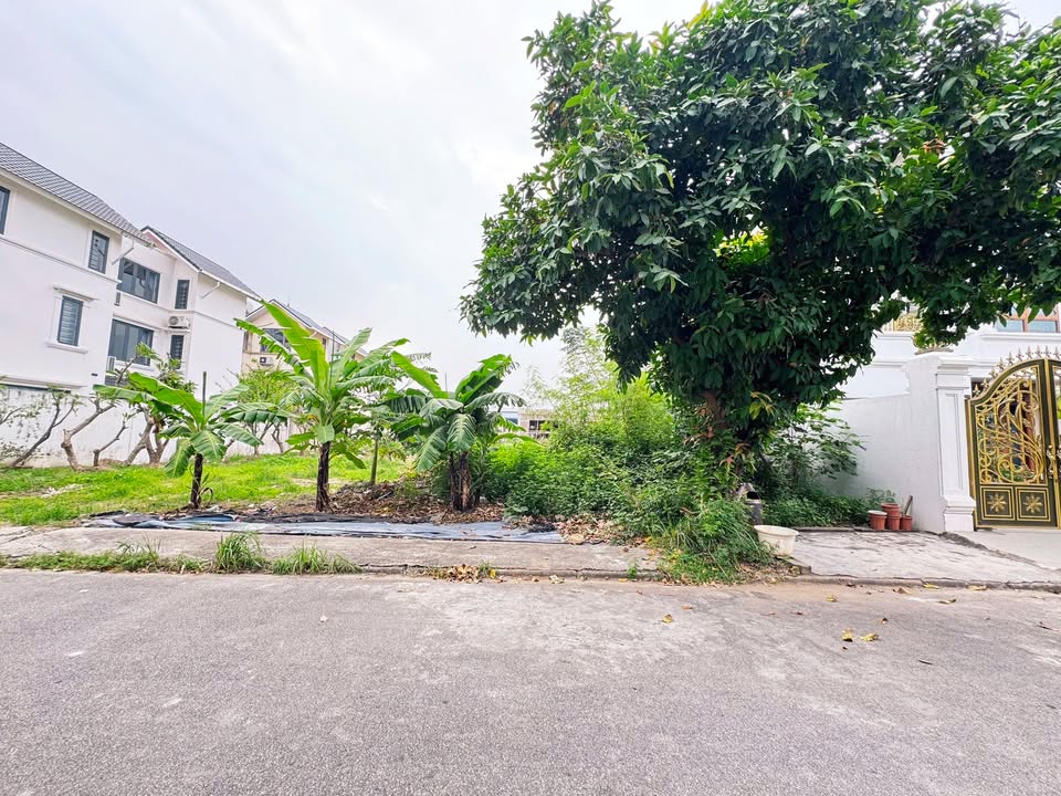 Đất nền 180m² tại Anh Dũng, Dương Kinh - Cơ hội đầu tư lý tưởng!