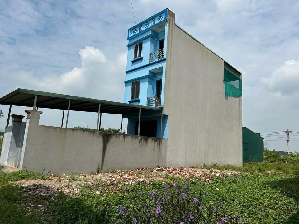 Đất đấu giá Vĩnh Quỳnh Thanh Trì 101m² giá 6 tỷ - Tiềm năng đầu tư sinh lời!