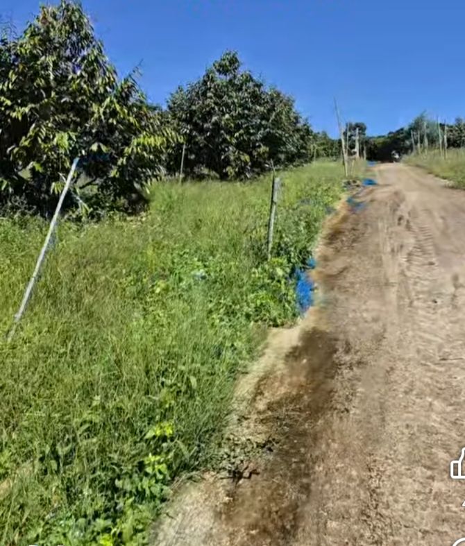 Đất nông nghiệp Đông Thanh, Lâm Hà 2700m² giá 2.2 tỷ - Cơ hội đầu tư tuyệt vời!