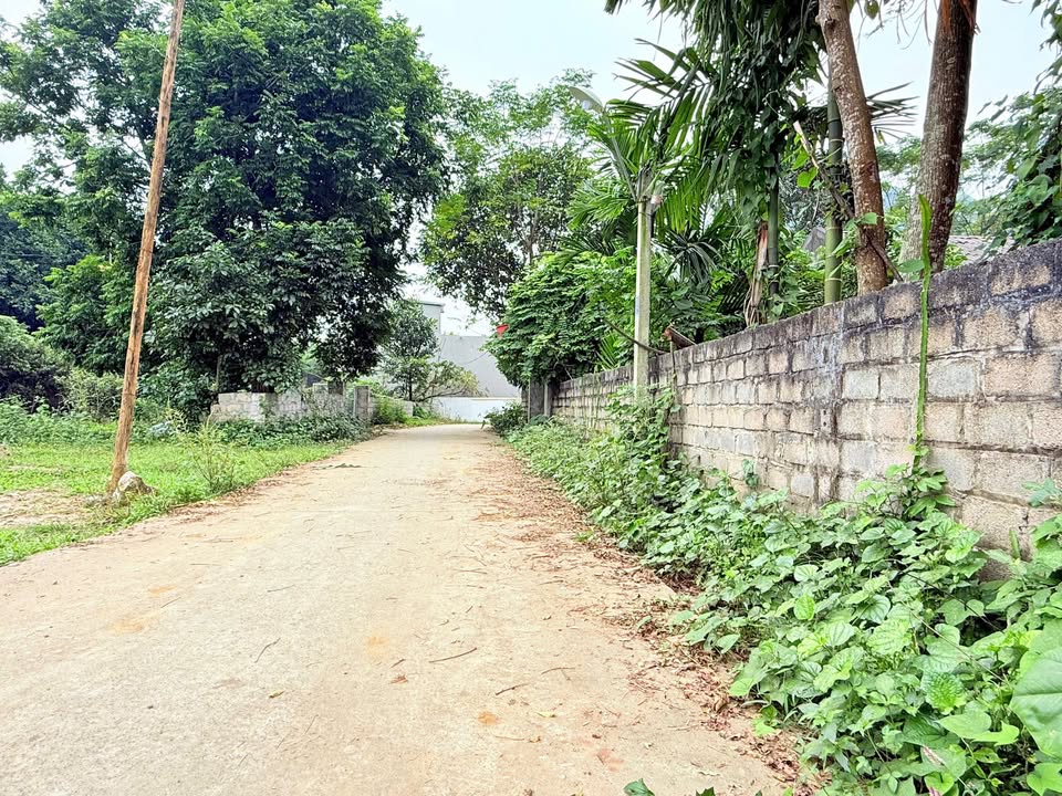 Đất nền Thanh Sơn Lương Sơn 500m² giá 3 tỷ - Cơ hội đầu tư sinh lời tuyệt vời!