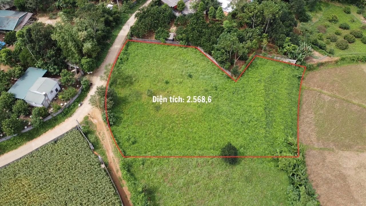 Đất nền Xóm Khăm, Nật Sơn, Kim Bôi, Hòa Bình 2568m² - Sổ đỏ chính chủ, giá cực tốt!