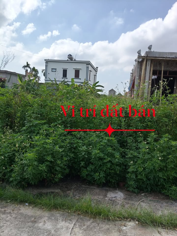 Đất nền xã Hải Phúc, Hải Hậu 210m² giá 1 tỷ - Tiềm năng đầu tư hấp dẫn!