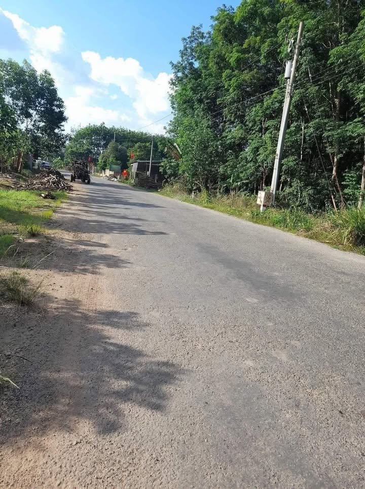 Đất nền 300m² xã An Linh, huyện Phú Giáo - Giá bán chỉ 700 triệu, đầu tư sinh lời ngay!