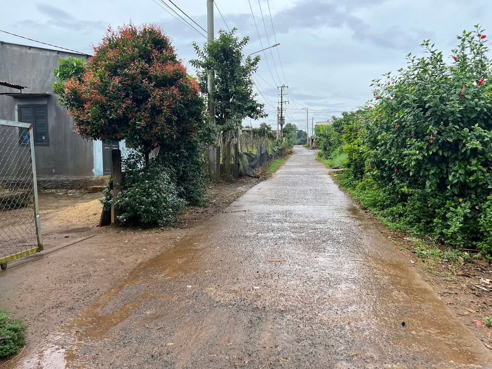 Đất thổ cư 150m² đường Nguyễn Văn Nghi, phường An Phú - Sổ đỏ chính chủ, giá tốt!