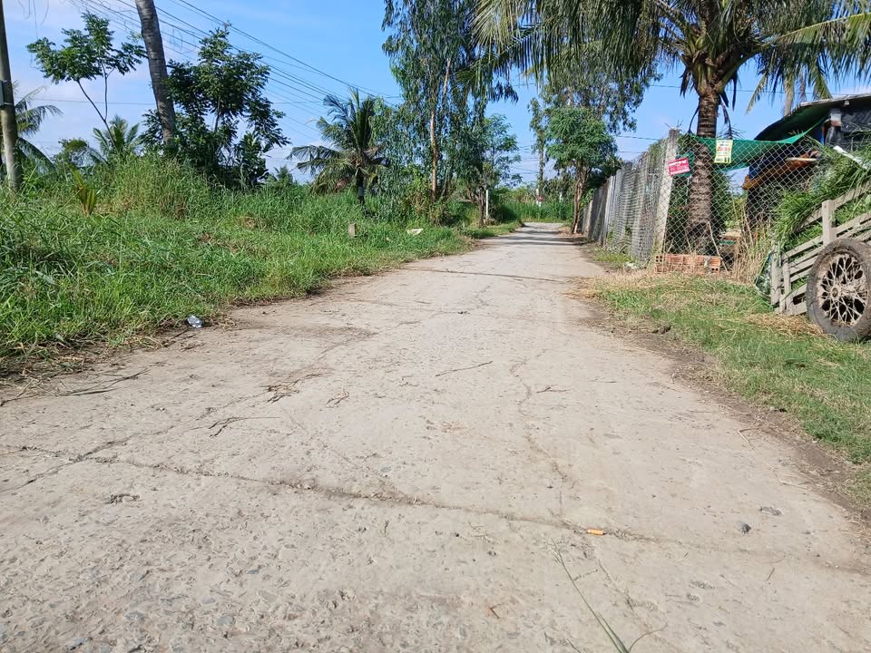 Đất ruộng Tân Hòa Gò Công Đông 2000m² giá 1.4 tỷ - Cơ hội đầu tư hấp dẫn!