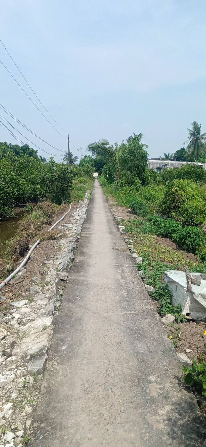 Bán lô đất vườn 2000m² tại xã Thạnh Lợi, Tân Châu - Giá 1.2 tỷ, tiềm năng sinh lời!