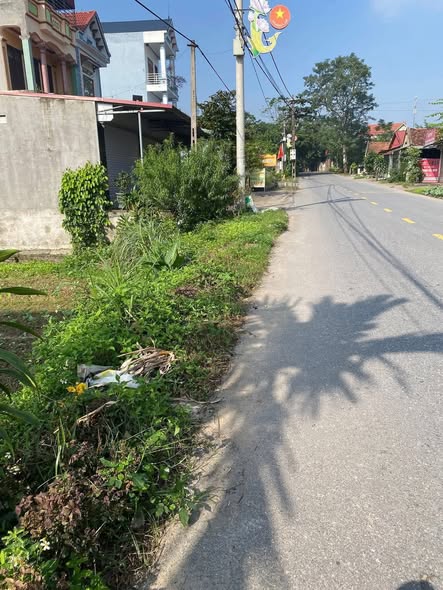 Lô đất 100m² trục chính đường 305 Xuân Lôi - Cơ hội đầu tư lý tưởng!