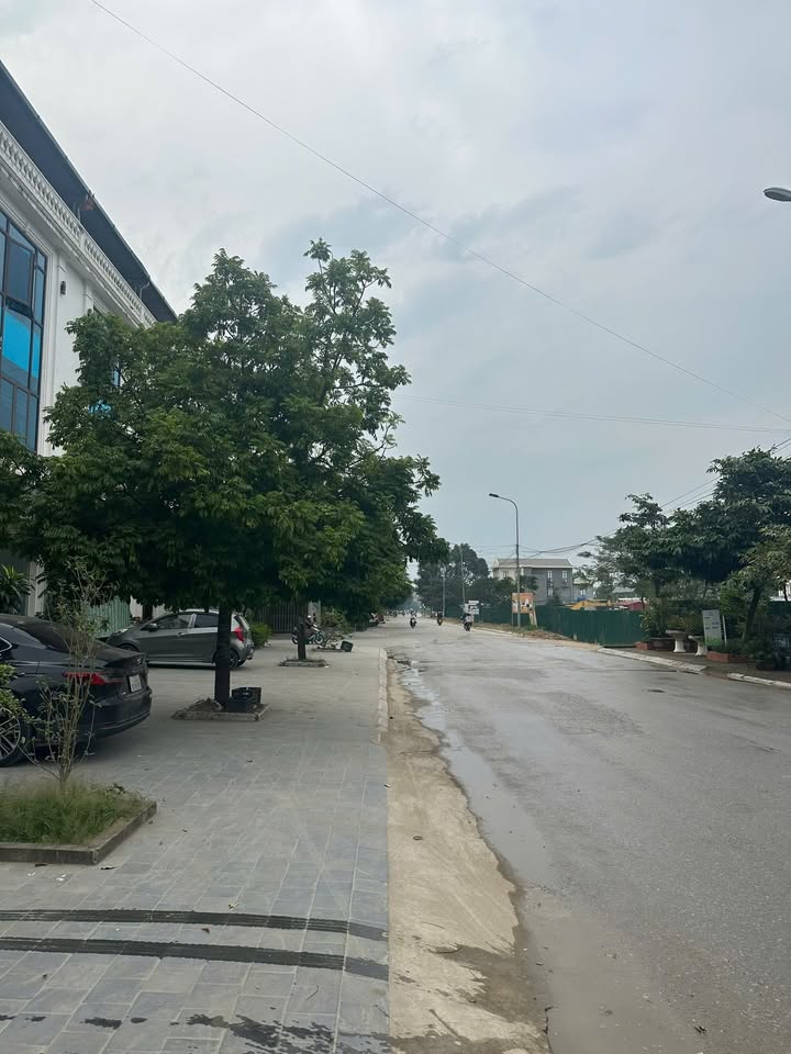 Nhà liền kề mặt đường Lý Tự Trọng, Sầm Sơn 250m² giá 10 tỷ - Đầu tư sinh lời ngay!