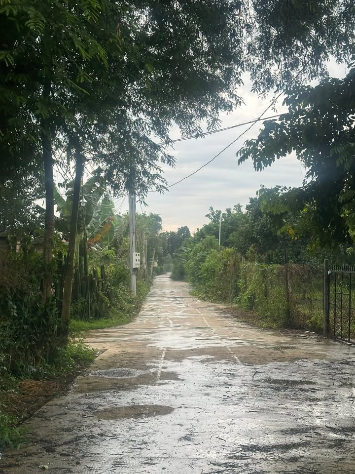 Đất trồng cây lâu năm Bảo Vinh 360m² giá 1 tỷ 7 triệu - Thích hợp cho đầu tư và nghỉ dưỡng!