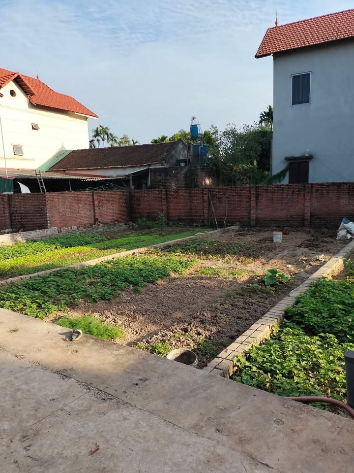 Đất nền khu phố Công Hà, phường Hà Mãn, 80m² giá chỉ 3x triệu/m² - Sổ đỏ chính chủ!