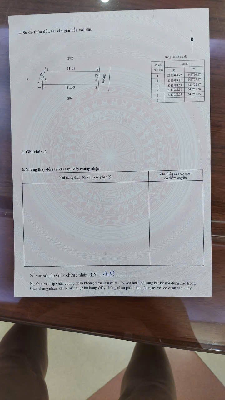 Đất nền 100m² tại Phi Liệt, Liên Nghĩa, Văn Giang - Cơ hội đầu tư chỉ 4 tỷ!