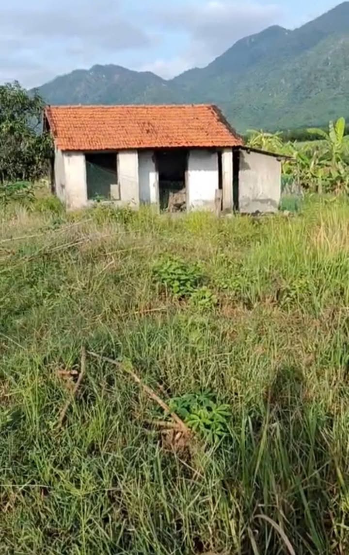 Đất nền Hòa Trí Ninh Hòa 1,7ha giá 1.1 tỷ - Sổ hồng chính chủ