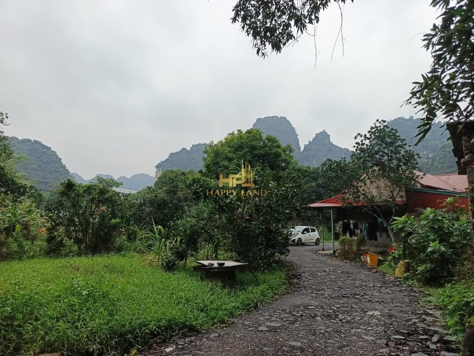 Đất nền 400m² tại Trường Yên, Hoa Lư giá 7 tỷ - Lý tưởng cho nghỉ dưỡng!