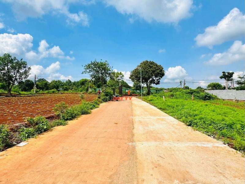 Đất 2 mặt tiền hẻm đường 19/5, Ea Tam, 120m² giá 1.98 tỷ - Đầu tư sinh lời hấp dẫn!