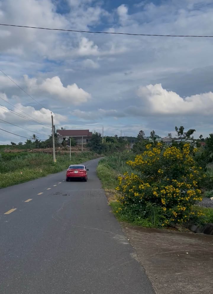 Đất nền mặt tiền đường DH3, Tân Hội 309m² giá chỉ 1.45 tỷ - Cần bán gấp!