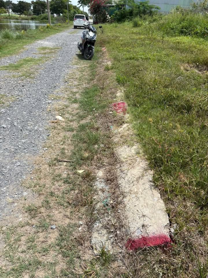 Đất nền KDC 135 Bến Lức 240m² giá chỉ 2.85 tỷ - Cần bán gấp!