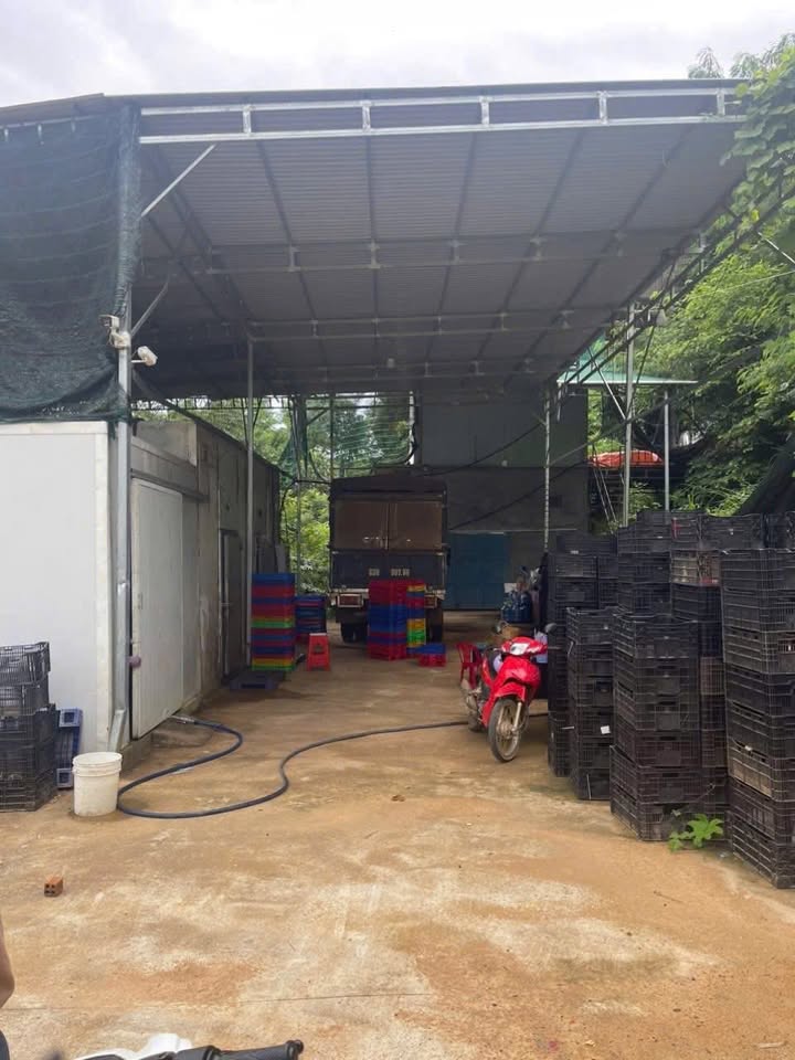 Kho đông lạnh 720m² tại QL14, Ea H'leo - Giá thỏa thuận hấp dẫn!