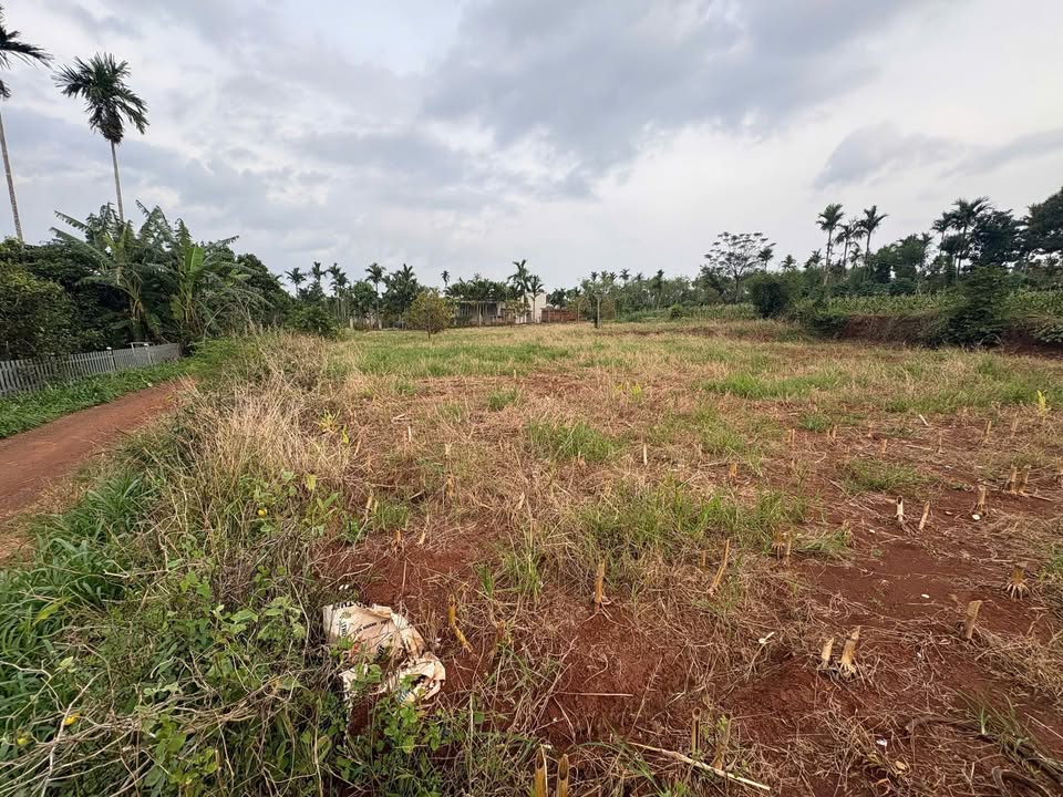 Đất Phú Xuân 440m² giá 950 triệu - Lô đất 2 mặt tiền đẹp