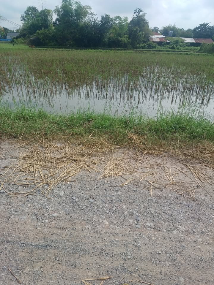 Đất thổ cư mặt tiền đường Nhà Máy Cại, 1060m² giá 3 tỷ - Cơ hội đầu tư tốt!