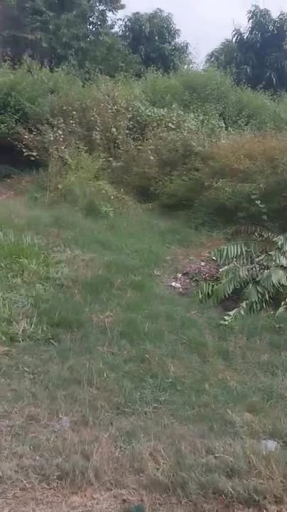 Lô đất góc 2 mặt tiền Hiệp Hòa, Đức Hòa 333m² giá 1.85 tỷ - Cơ hội đầu tư tuyệt vời!