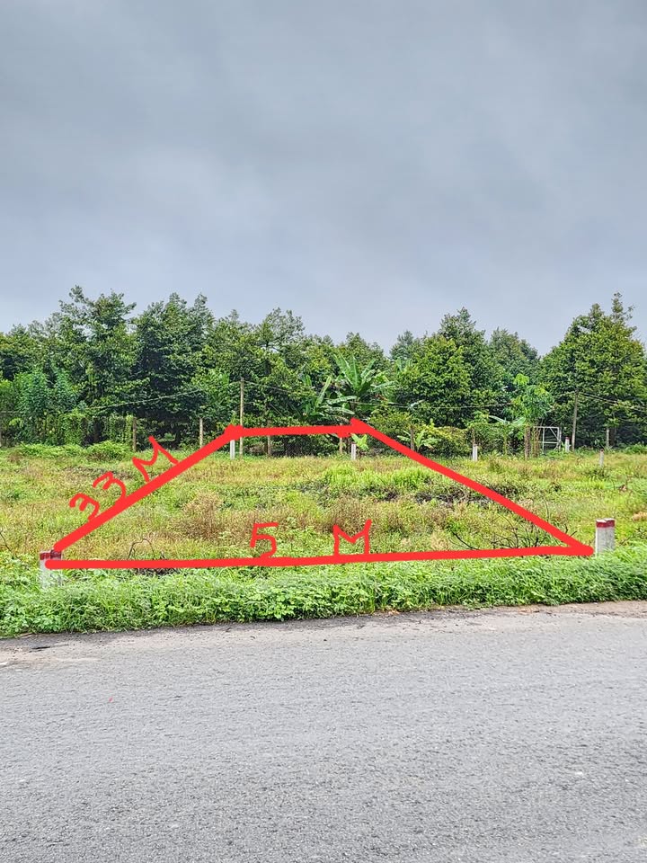 Đất nền chính chủ Long Giang Bến Cầu 165m² giá 390 triệu - Đường nhựa rộng rãi!