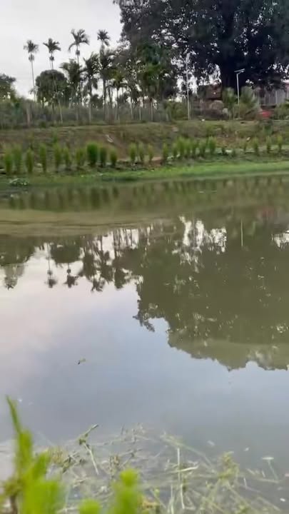 Đất nền Phú Xuân 8280m² giá 1 tỷ - Tiềm năng phát triển lớn!