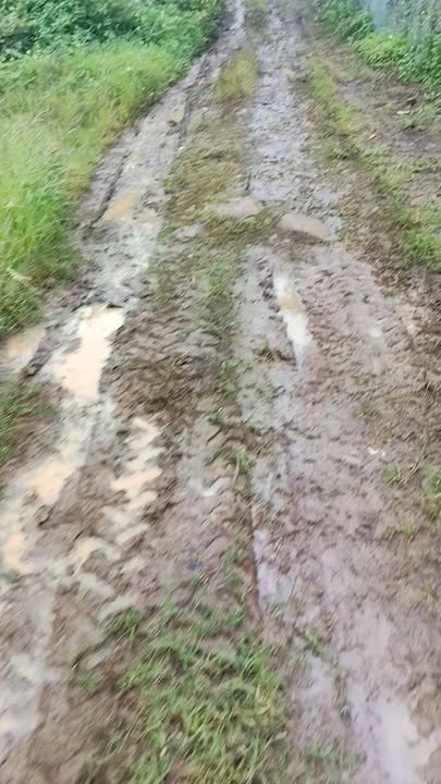 Bán lô đất Farm 1,2ha tại Ea Siên - Giá chỉ 2,77 tỷ - Đầu tư sinh lời!