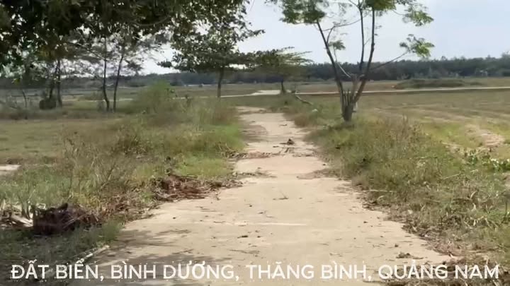 Đất nền Bình Dương, Thăng Bình 400m² chỉ 1xx triệu - Cơ hội vàng không thể bỏ lỡ!