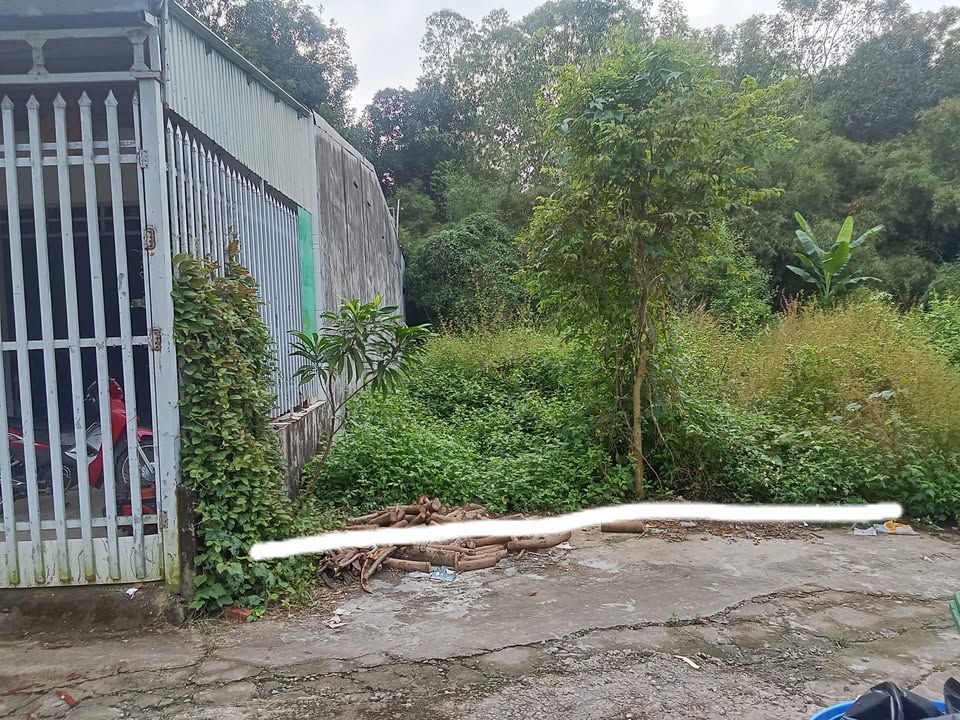 Đất nền An Quới, Trảng Bàng, 116m² giá 600 triệu - Tiềm năng khai thác cao!