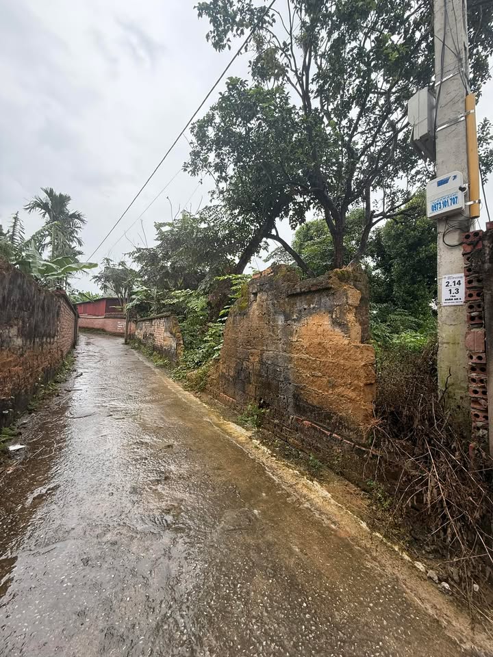 Đất nền Xuân Phú Yên Dũng 446m² giá 3 tỷ - Cơ hội đầu tư tuyệt vời!