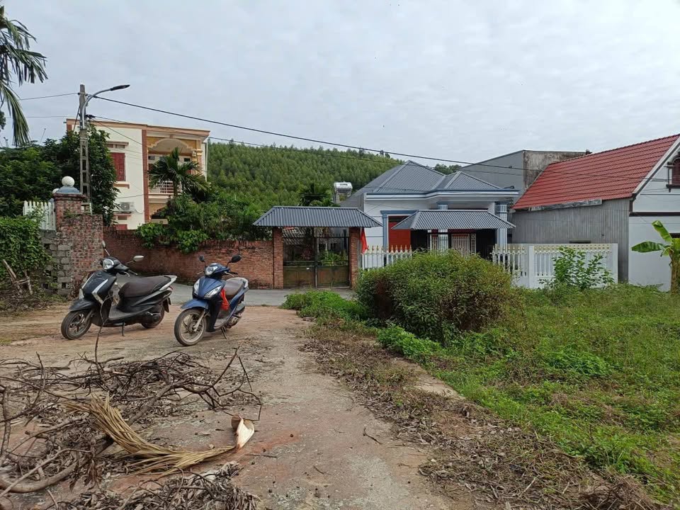 Đất nền phường Đa Mai, TP Bắc Giang 73.8m², giá chỉ 1 tỷ - Cơ hội đầu tư hấp dẫn!