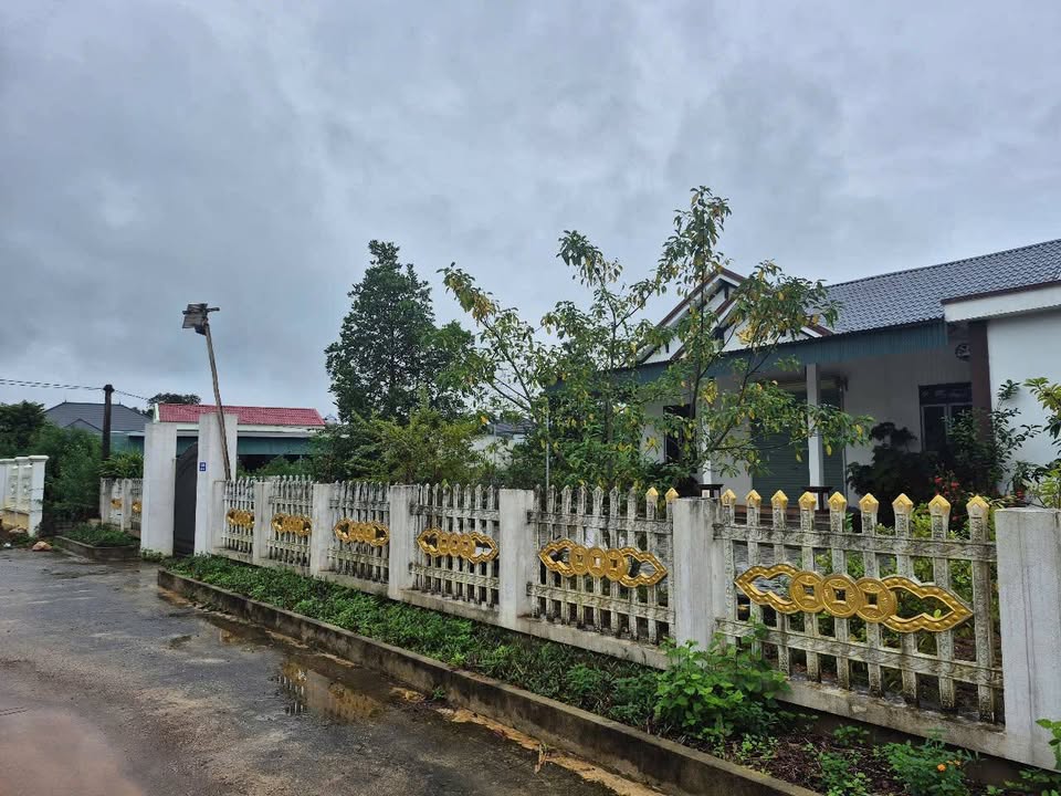 Nhà riêng Vân Sơn, Triệu Sơn 1000m² - Chính chủ cần bán gấp!