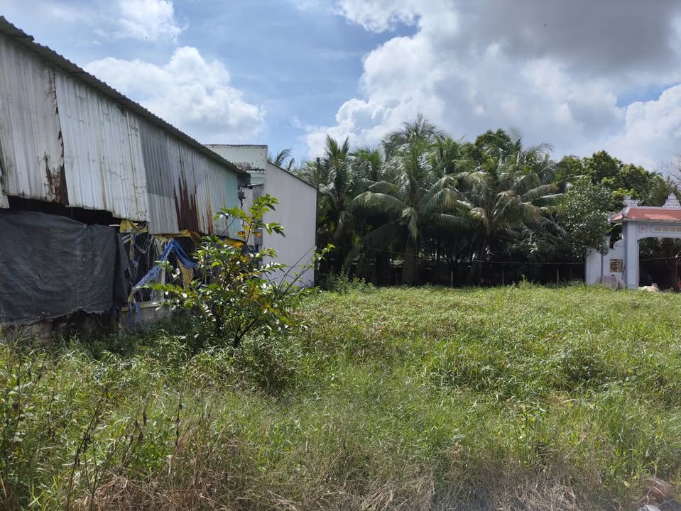 Đất thổ cư 120m² tại Phước Vĩnh An, Củ Chi - Giá chỉ 1.6 tỷ!