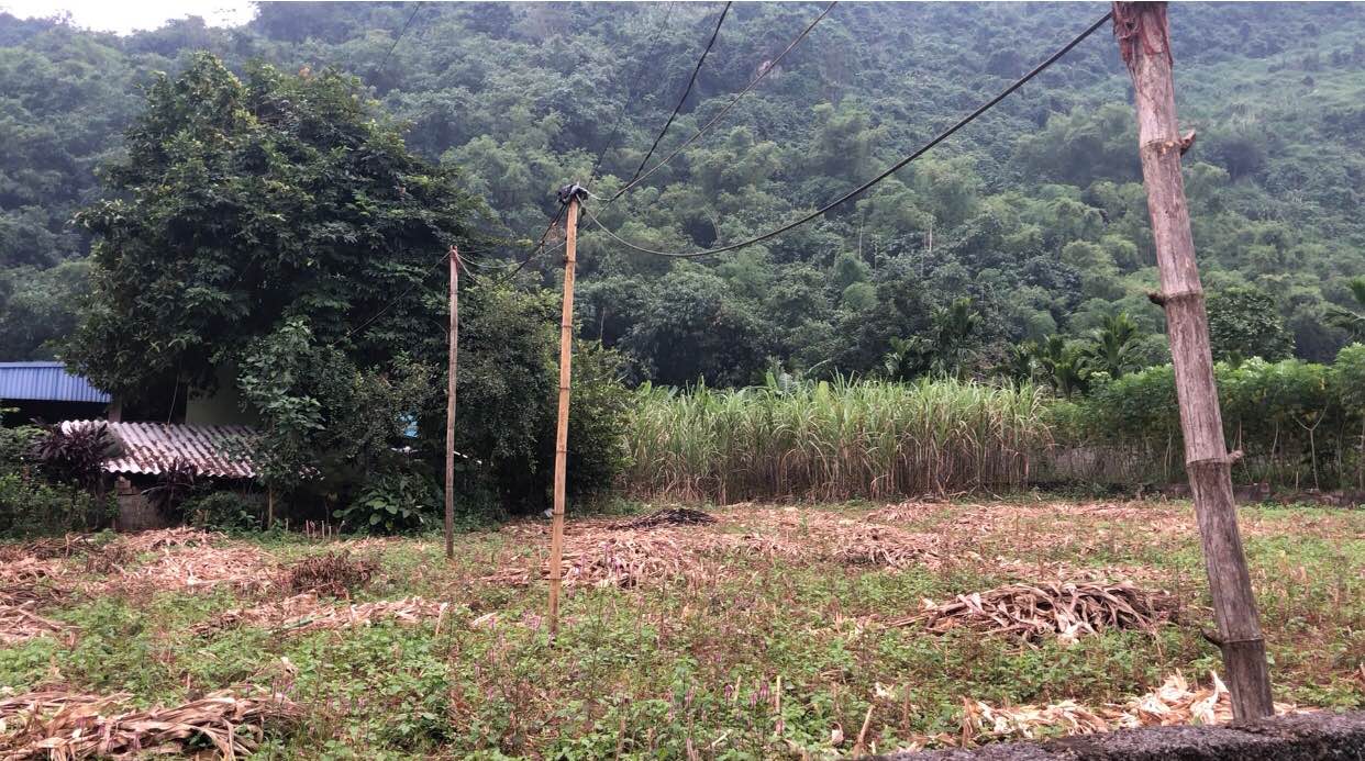 Đất thổ cư 300m² tại xã Kim Truy, 908m², giá chỉ 2 triệu/m² - Cơ hội đầu tư hấp dẫn!