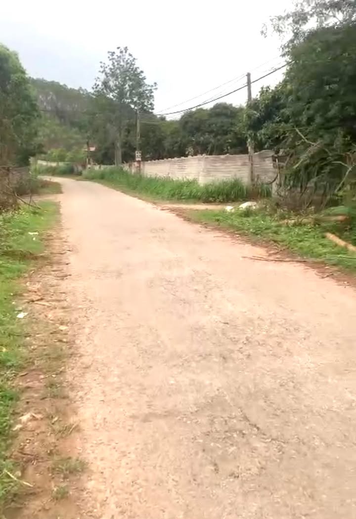 Đất thổ cư 240m² đường A Phan, xã Tam Hiệp, Yên Thế - Cơ hội đầu tư hấp dẫn!