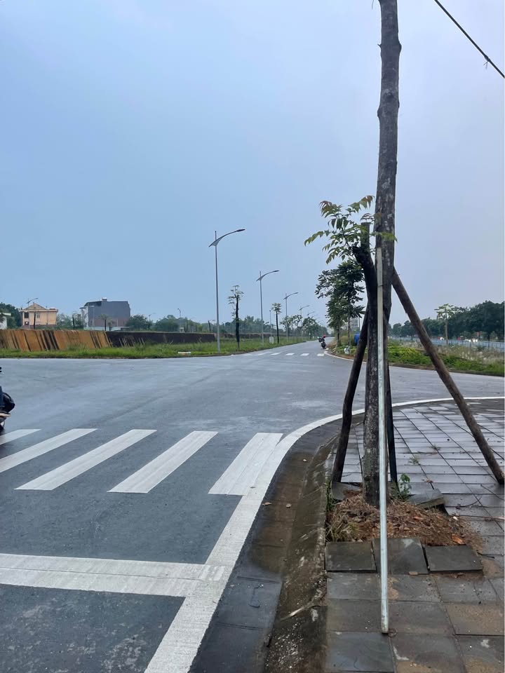 Đất nền KĐT Dragon Bắc Cường 111m² giá 2 tỷ - Đầu tư sinh lời ngay!